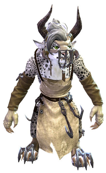 File:Cook's Outfit charr female front.jpg