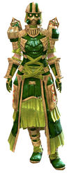 Forgeman armor (light) norn female front.jpg