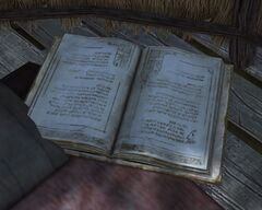 Diary (Stalwart Guardian's Journal).jpg