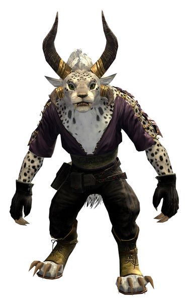 File:Ornate Clothing Outfit charr female front.jpg