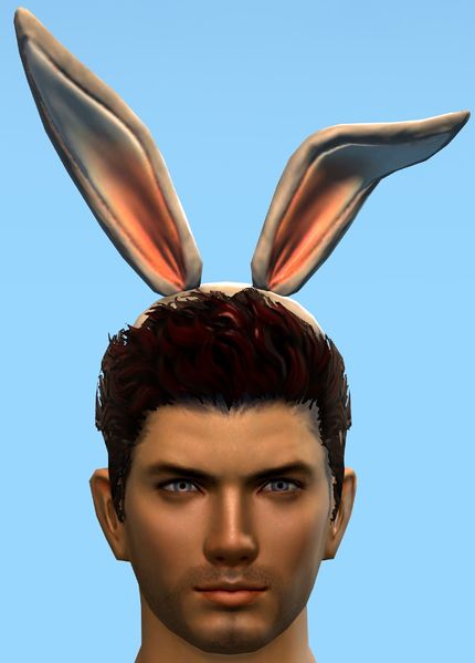 File:Bunny Ears.jpg