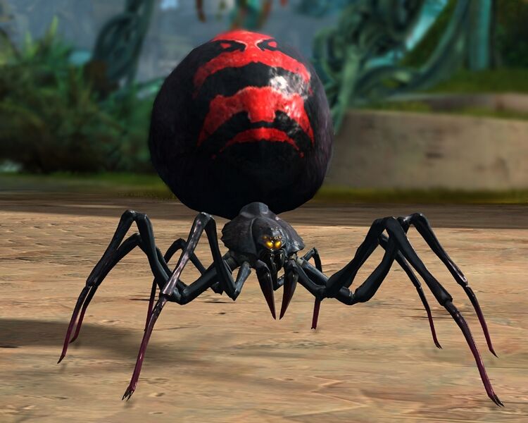 File:Black Widow Spider.jpg