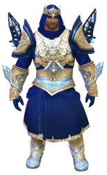 Glorious Hero's armor (light) norn male front.jpg