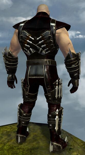 File:True Assassin's Guise Outfit norn male back.jpg