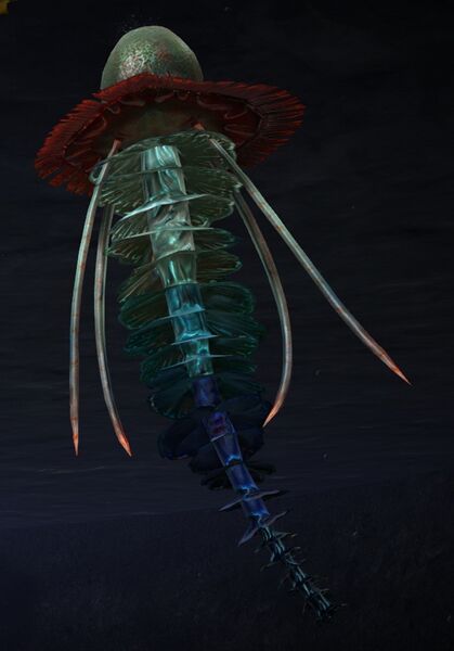 File:User Kailani Rainbow Jellyfish Model.jpg