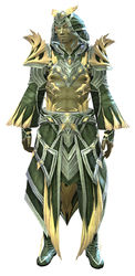 Feathered armor sylvari male front.jpg