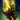 Nightmare Torch.png