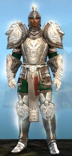 Radiant armor (heavy) human male front.jpg