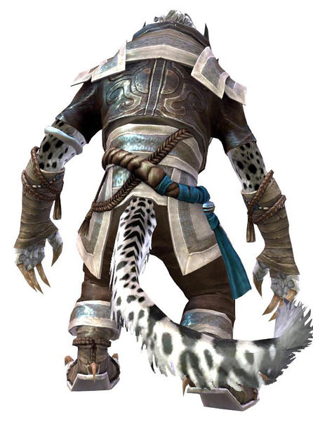 File:Monk's Outfit charr female back.jpg