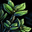 Thyme Leaf.png