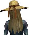 The hat from the back on a sylvari.