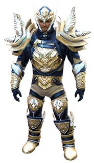 Glorious Hero's armor (medium) norn male front.jpg