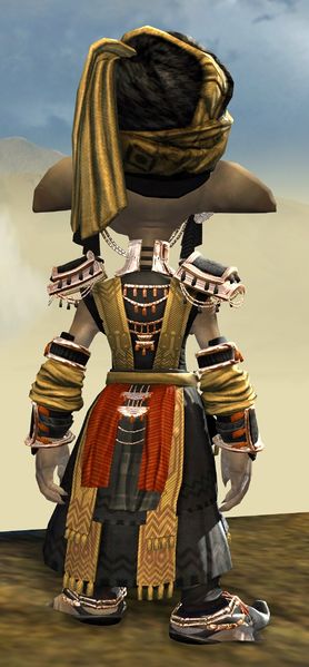 File:Spearmarshal's armor (light) asura male back.jpg