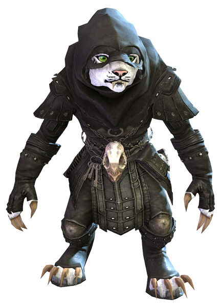 File:Executioner's Outfit charr female front.jpg