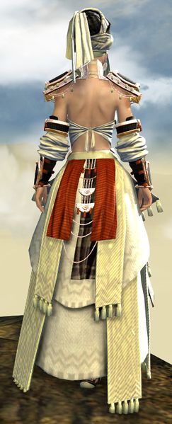 File:Spearmarshal's armor (light) norn female back.jpg