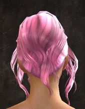 Unique norn female hair back 3.jpg