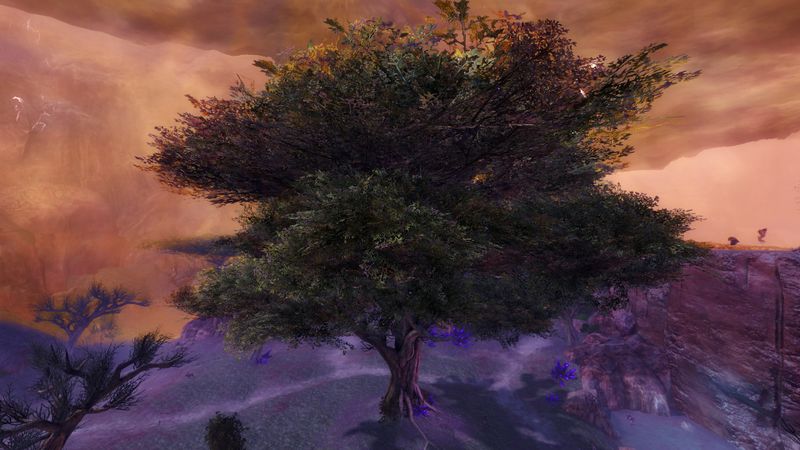 File:Ancestor Tree.jpg