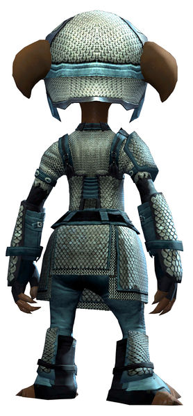 File:Heavy Scale armor asura male back.jpg