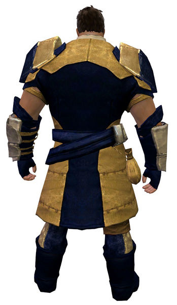 File:Rawhide armor norn male back.jpg