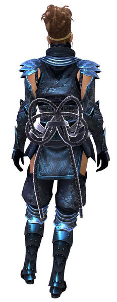 File:Shadow Assassin Outfit norn female back.jpg