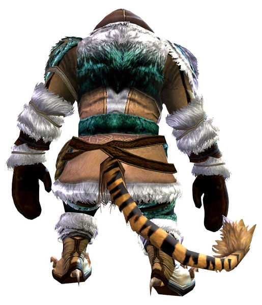 File:Arctic Explorer Outfit charr male back.jpg