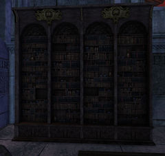 Bookshelf (Stronghold of the Faithful).jpg