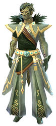 Conjurer armor sylvari male front.jpg