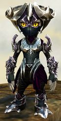 Mist Shard armor (medium) asura female front.jpg