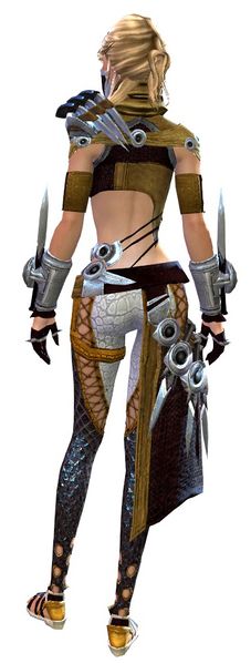 File:Assassin's armor human female back.jpg