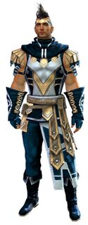 Vigil's Honor armor (light) human male front.jpg