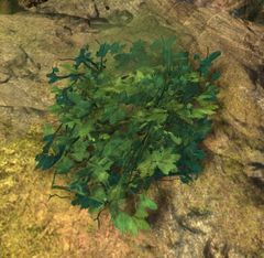 Corrupted Plant (Sparkfly Fen).jpg