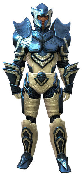 File:Heavy Plate armor human male front.jpg