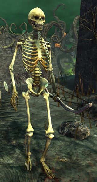 File:Skeleton (longbow).jpg