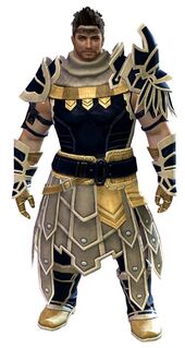 Vigil's Honor armor (medium) norn male front.jpg