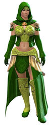 Diviner armor norn female front.jpg