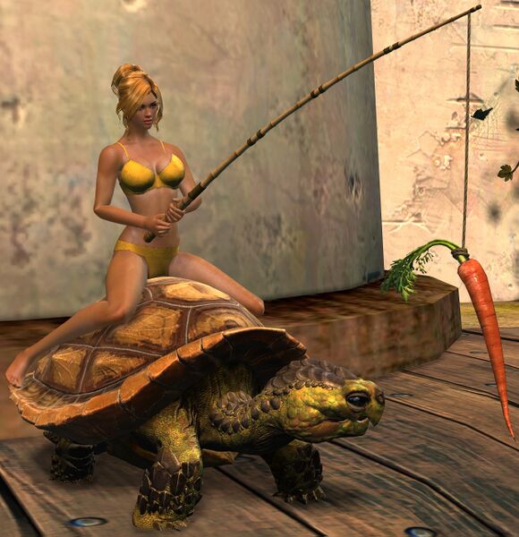 File:Meandering Tortoise Chair human female.jpg
