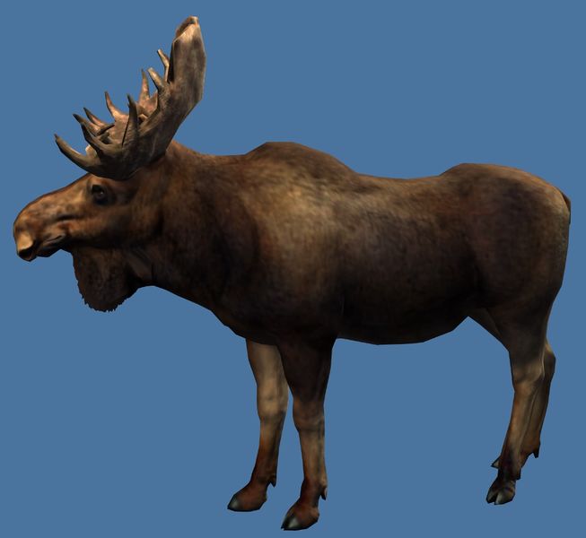 File:Mini Moose.jpg