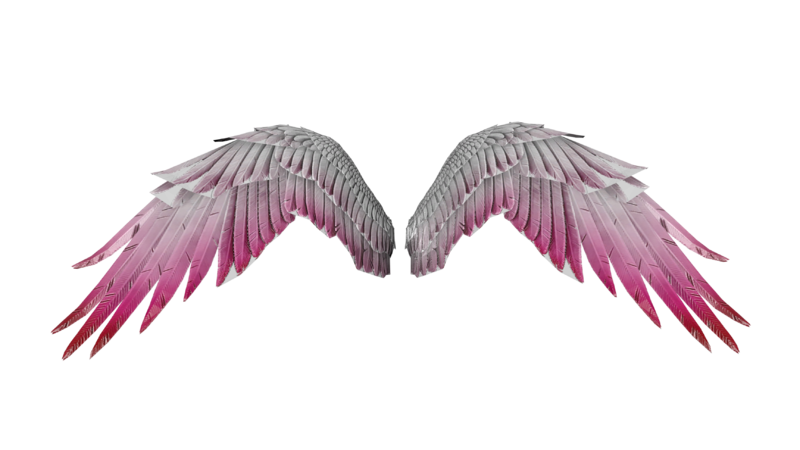 File:Wings of love render top.png