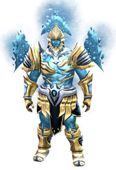 Zodiac armor (heavy) norn male front.jpg