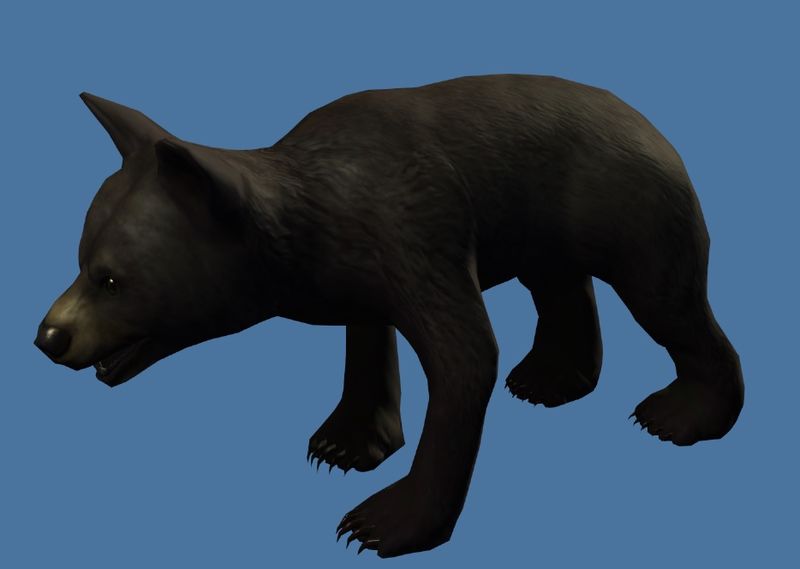 File:Mini Black Bear Cub.jpg