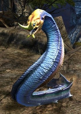 Sand Eel - Guild Wars 2 Wiki (gw2w)