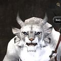 Exclusive face - charr female 7.jpg
