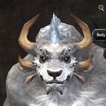 Exclusive face - charr male 2.jpg