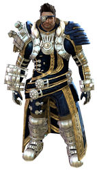 Magitech armor norn male front.jpg