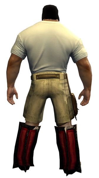 File:Seize the Awkward Clothing Outfit norn male back.jpg