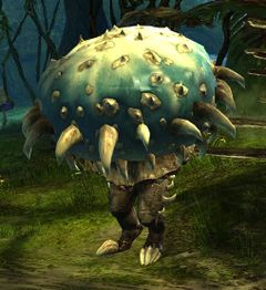 Veteran Mushroom Defender.jpg