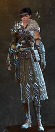 Wandering Weapon Master Outfit