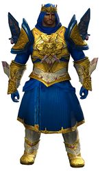 Ardent Glorious armor (light) norn male front.jpg