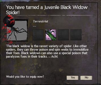 Description of a Black Widow Spider.
