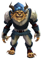 Chain armor charr male front.jpg